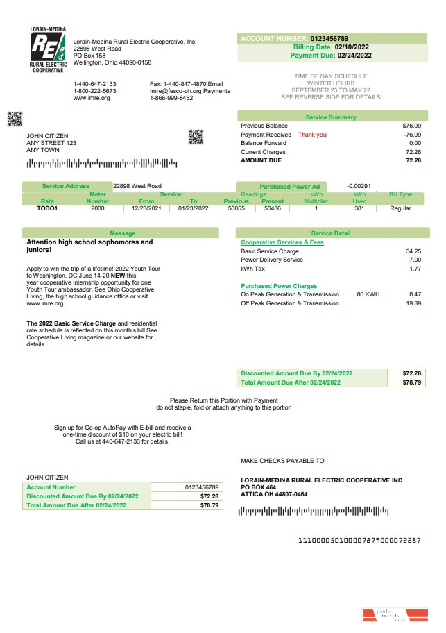 USA Ohio Lorain Medina Rural Electric utility bill template in Word and PDF format